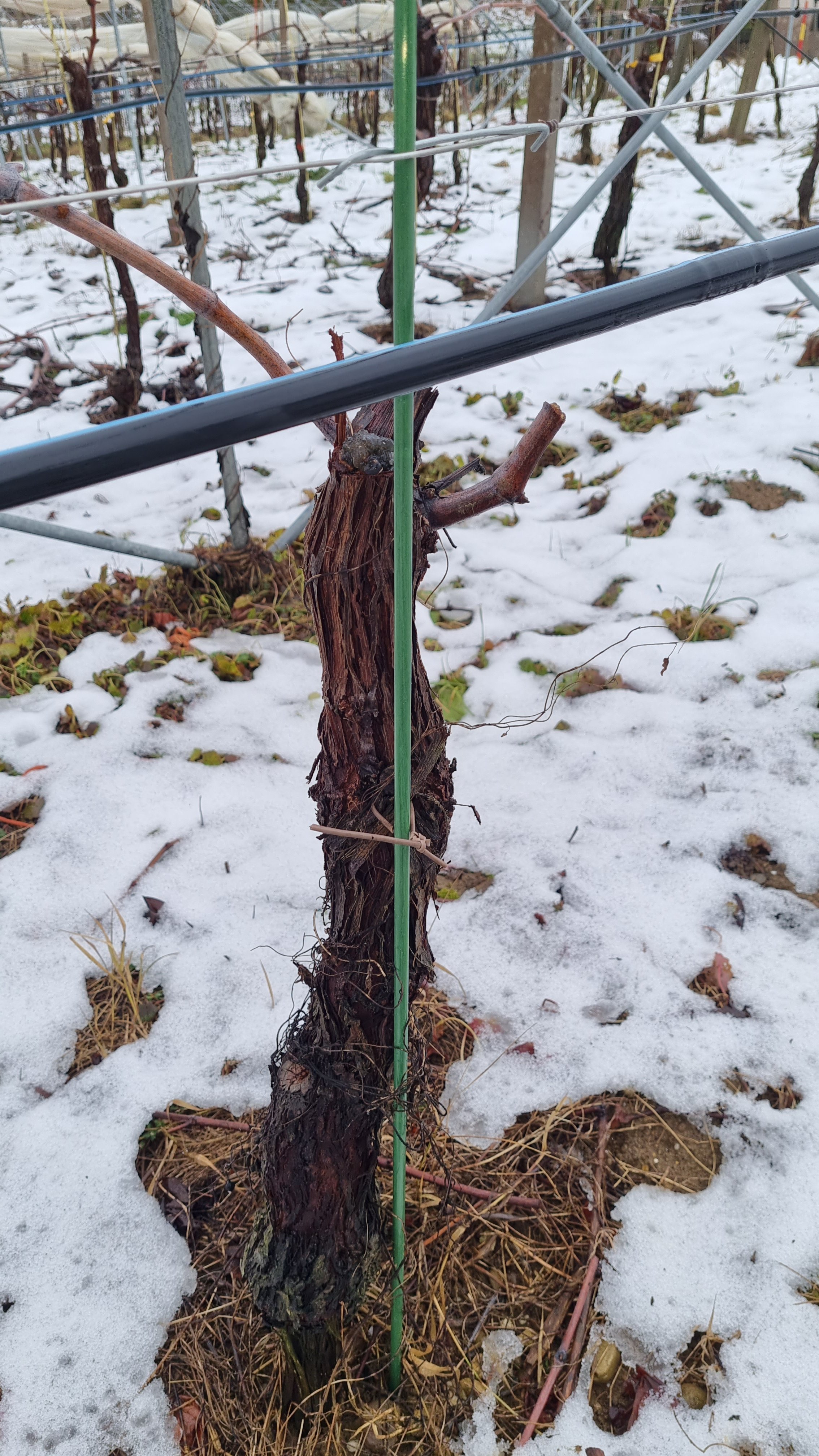 Količek stekloplastična vlakna 1300 x 10 mm