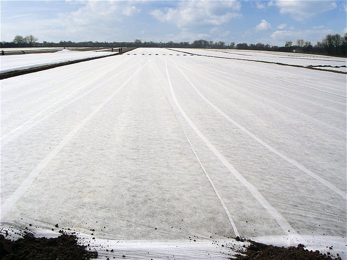 Koprena proti pozebi 19 g, 12,90 m x 100 m, RE