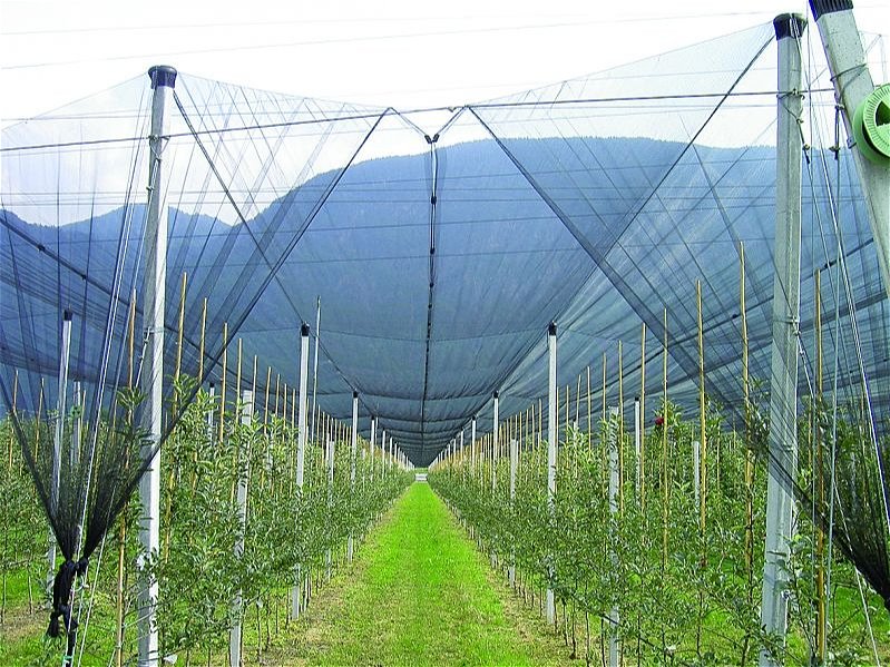 Mreža proti toči 3,50 m