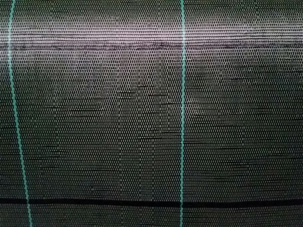 Tkanina proti plevelu 90 g/m2, 5,25 m, zelena