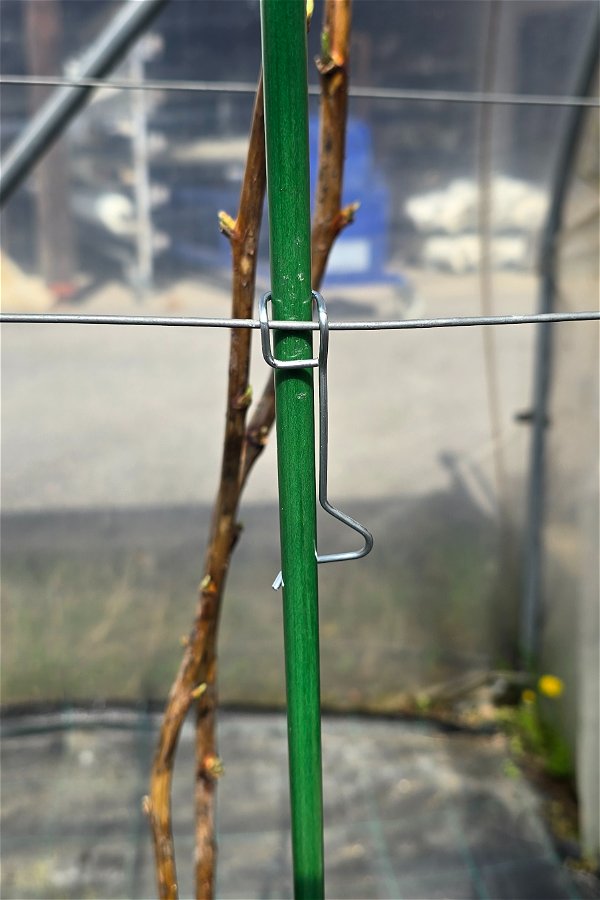 Vertikalna Speedy sponka za količek 8-10mm (100 kos)