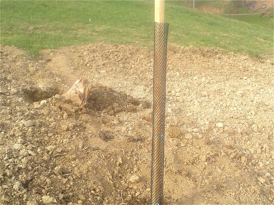 Zaščitna mreža za drevje TIP 246, 116 g/m, 15 cm, 50 t.m.