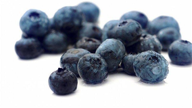 Naročila sadik ameriških borovnic - pomlad 2026